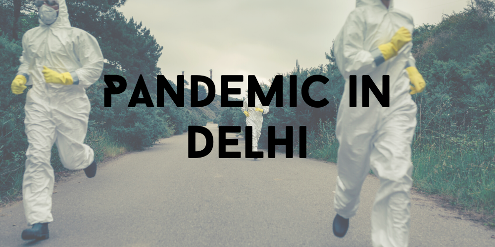 Thumbnail for the post titled: Delhi NCT